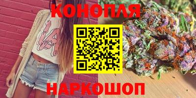 альфа пвп Заводоуковск