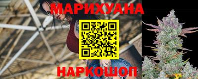 альфа пвп Заводоуковск