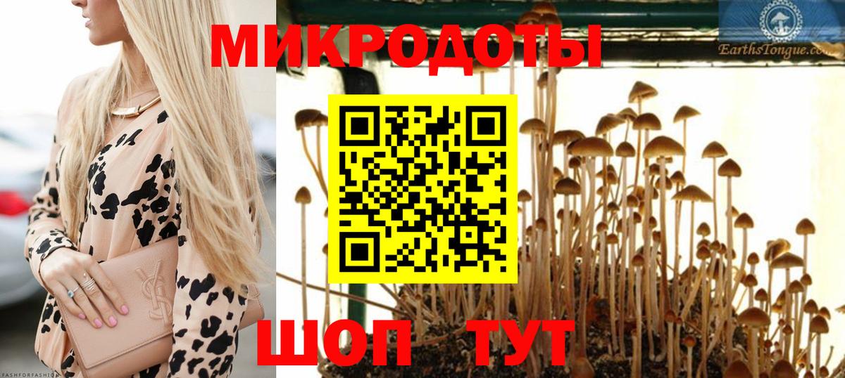 Псилоцибиновые грибы Psilocybine cubensis Армавир