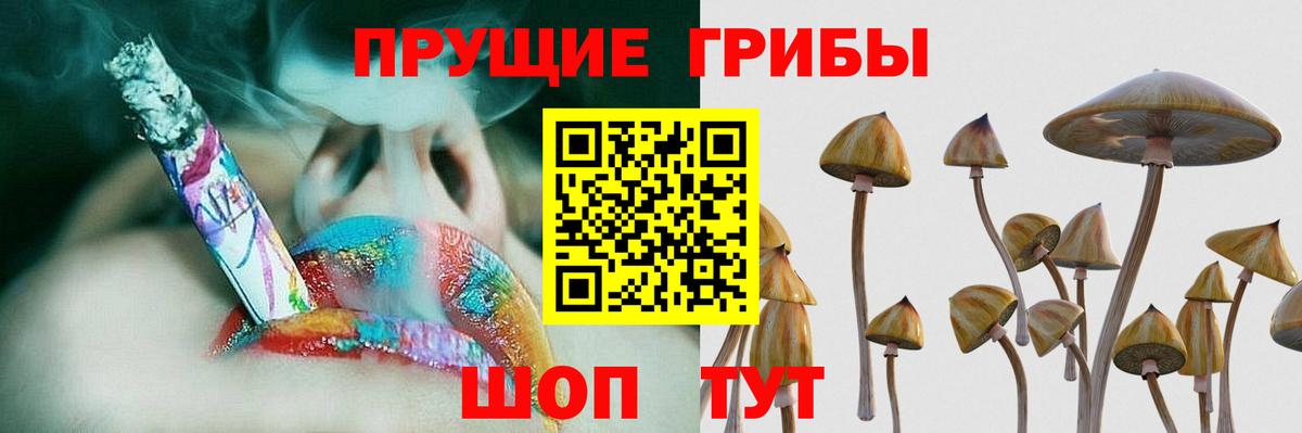 Псилоцибиновые грибы ЛСД  купить наркоту  Армавир  Вход с VPN 